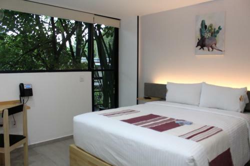 Hotel Anzures Express 158