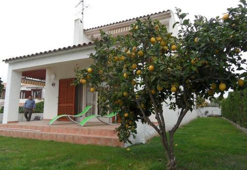 Villa 100 M From The Beach