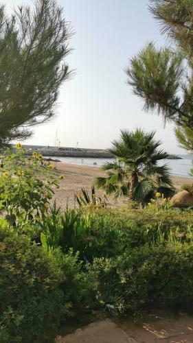 Apartamento Port De Roda De Bara -roc Sant Gaieta