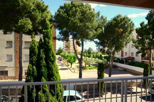 Apartamento Leo 15