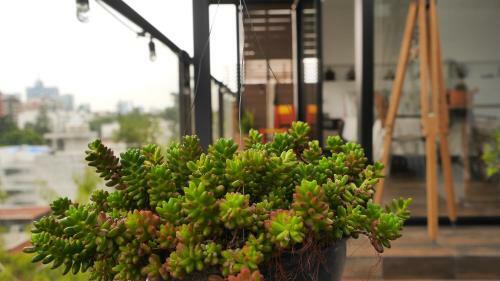 Apartamento Loft Remedios - Design Penthouse Cdmx