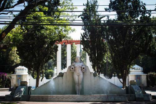 Condesa Df Luxury Apartment