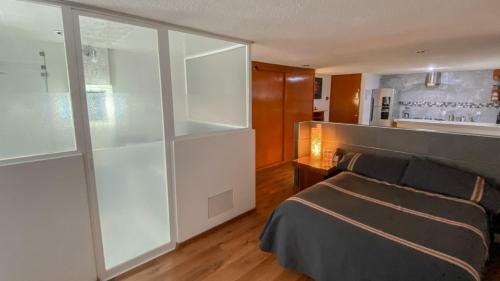Apartamento Condesa Loft By Mexico Wanderlust