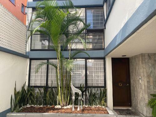Habitaciones De Lujo Manacar Cdmx