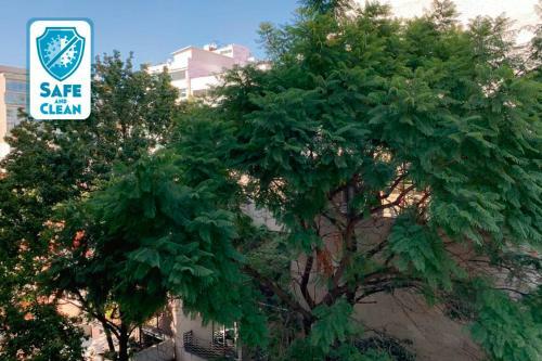 Apartamento Departamento Maimonides Polanco