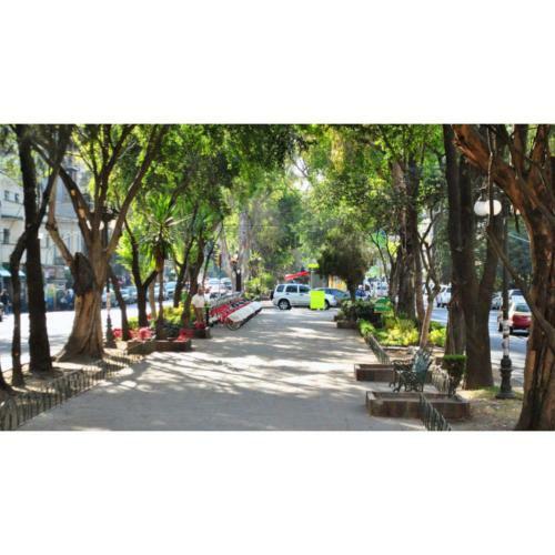 Apartamento Destination Condesa @roma Norte Penthouse Loft