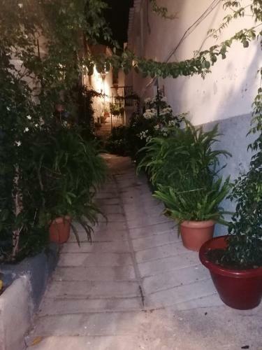 Casa Amat