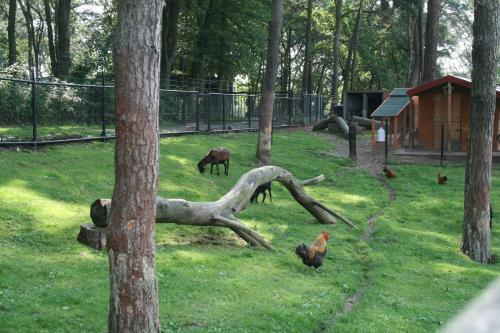 Europarcs Brunssummerheide