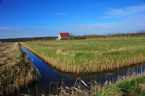 Bed & Breakfast Witte Weelde Texel
