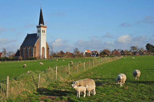 Bed & Breakfast Witte Weelde Texel