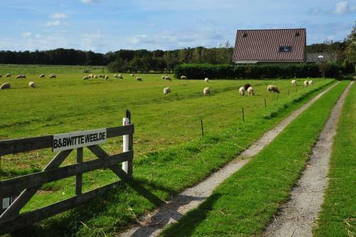Bed & Breakfast Witte Weelde Texel