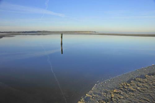 Bed & Breakfast Witte Weelde Texel