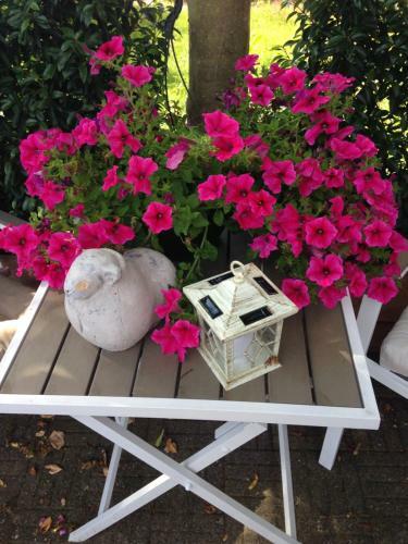 B&B De Koog Texel