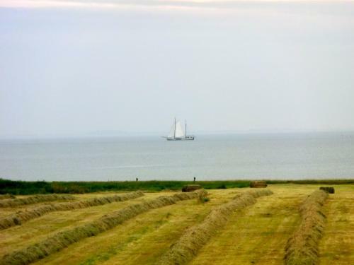 Bed & Breakfast Villa Nieuwland