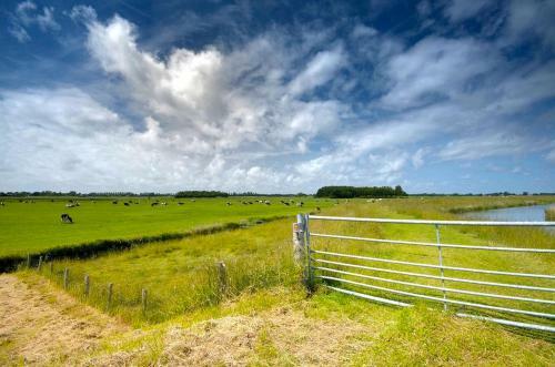 Bed & Breakfast Villa Nieuwland