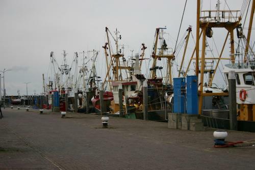 Bed & Breakfast Het Huis Van De Wadden