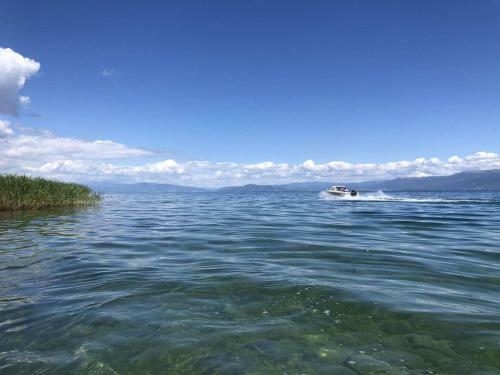 Bed & Breakfast Camping Hotel Herges
