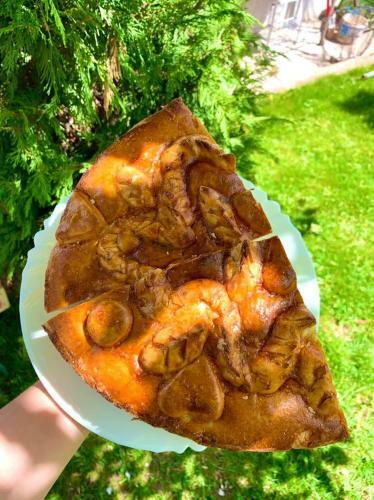 Bed & Breakfast Camping Hotel Herges