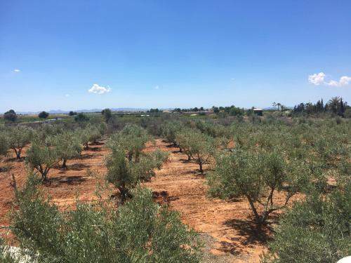 Finca Tres Molinos B&B
