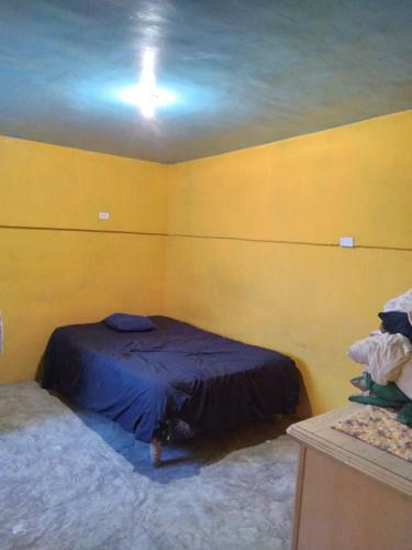 Casa Hu�sped Alem Torres