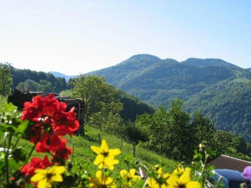 Apartamento Haus Morgensonne