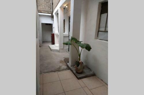 Neza Apartamento Independiente