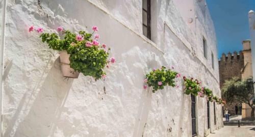 Apartamento Puerta Al Mar
