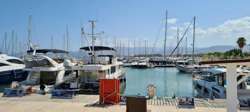 Latchi Area Apartments