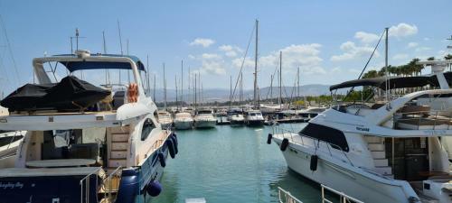 Latchi Area Apartments