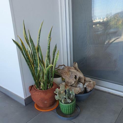 Apartamento Ithaki, 2 Bedroom Penthouse