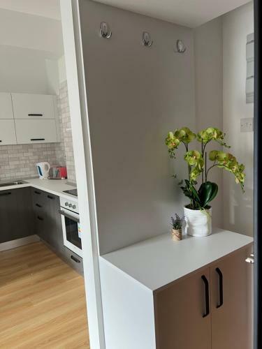 Kyrenia Comfort Apartments