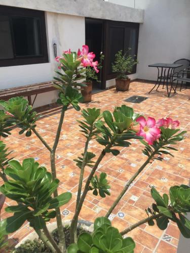 Apartamento Mi Depa Vainilla