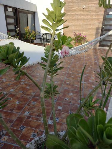 Apartamento Mi Depa Vainilla