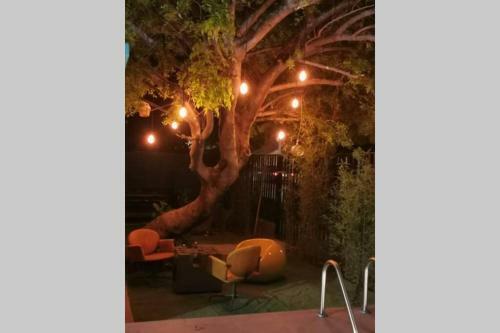 Casa Completa Con Alberca Y Chapoteadero Para 12 Personas!!!
