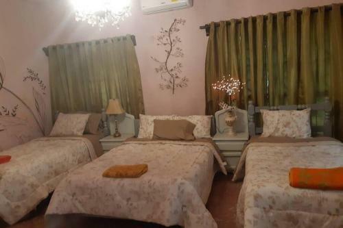 Casa Completa Con Alberca Y Chapoteadero Para 12 Personas!!!