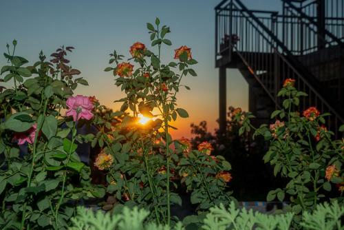 Iocasti Cottage By Agroholidays