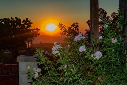 Iocasti Cottage By Agroholidays