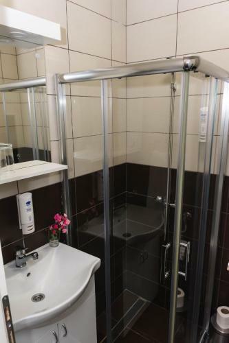 Apartamento Anin Dvor ?ekovi?i