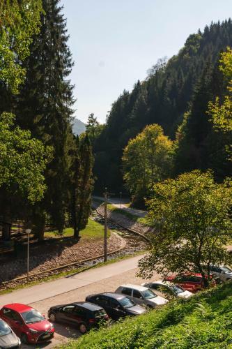 Apartamento Anin Dvor ?ekovi?i