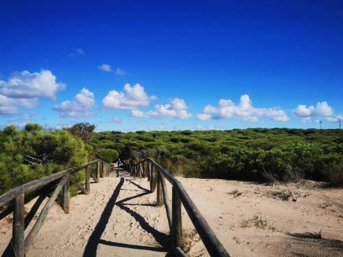 Apartamento Residencial Punta Candor