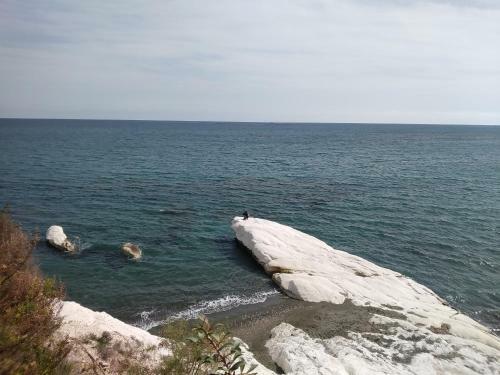 Apartamento Montehugh
