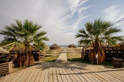 Apartamento Olive Island