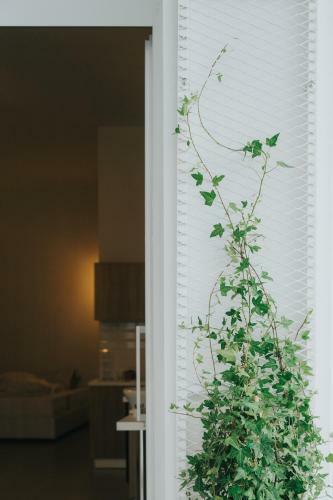 Apartamento Prima Gardens City Studios