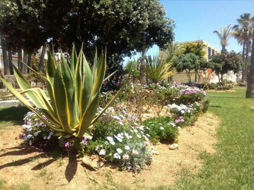Apartamento Estudio Frente Al Mar