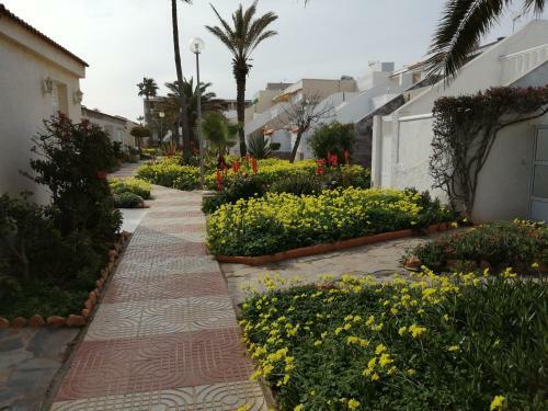 Apartamento Estudio Frente Al Mar
