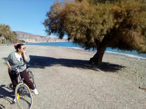 Apartamento Estudio Frente Al Mar