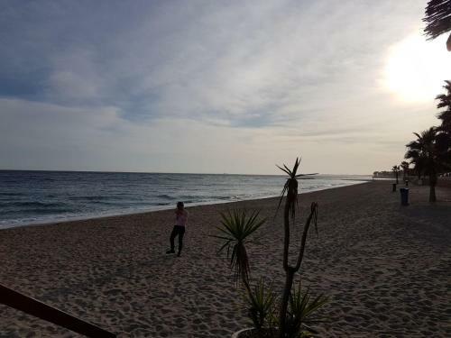 Apartamento Primera Linea De Playa