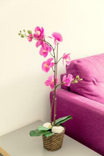 Apartamento Savvas City Centre Flat