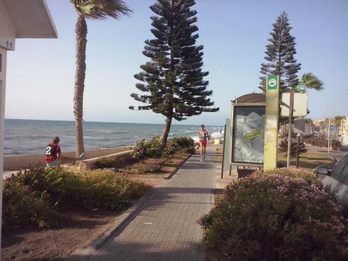 Apartamento Con Piscina Y Terraza A 50 Metros de La Playa