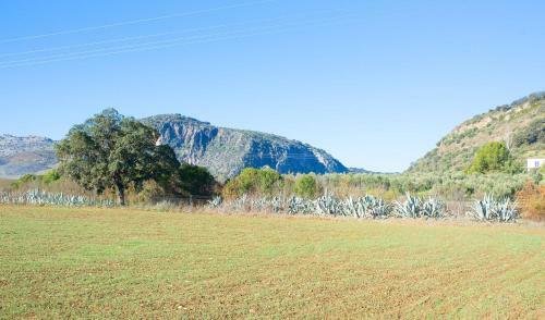 Agroturismo Mi Casita